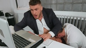 Work pound - William Seed & Killiam Wesker American Hump