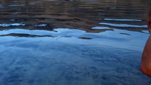 Sean & Josh: bareback - American Scene