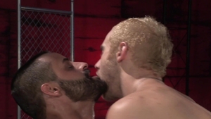 Raging Stallion