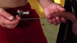 Inescapable Harness of Desire