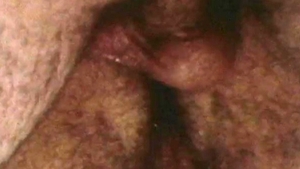 Falcon Studios: Will's Daring Move to Bring in New Blood