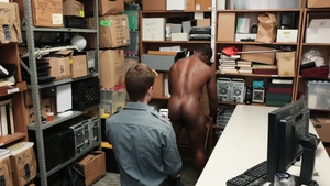 Young Perps: Back Office Brawls and Black Beauty's Bonds