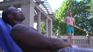 Bro Seeking Bro: Emerald Oasis Ignites Fiery Passions
