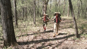 scoutboys: Sultry Nights Under Canvas