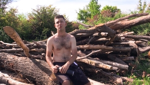 Logging for Lust